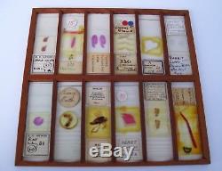 100+ Antique/Vintage Microscope Slides With Turn Of The Century Wooden Box