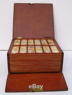 100+ Antique/Vintage Microscope Slides With Turn Of The Century Wooden Box