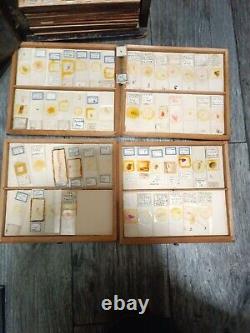 100+ antique microscope slides collection