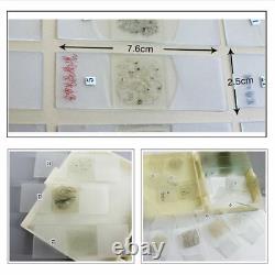 30um Geological Grinding Flakes Prepared Ore Rock Specimen Microscope Slides