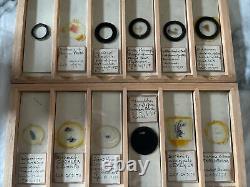 72 Antique Microscope Slides Mostly Human Dated c1870s By C. J. H 12 Photographs