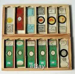 ANTIQUE Cased MICROSCOPE SLIDE COLLECTION, 72 Mounts