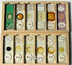 ANTIQUE Cased MICROSCOPE SLIDE COLLECTION, 72 Mounts
