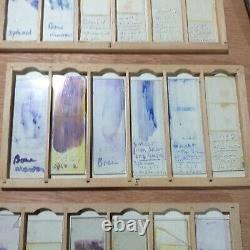 A Fine Set Of Microscope Slides In Case Of Human Tissue