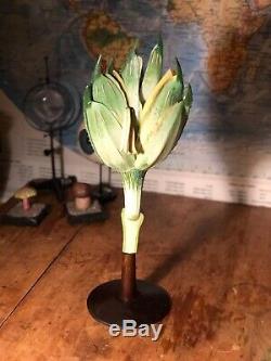A Vintage Botanical Model Of A Wheat / Rye / Barley Flower