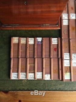 Antique Collection Of 66 Victorian Microscope Slides In Collectors Cabinet