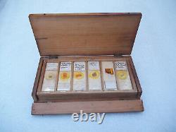 Antique Glass Microscope Slides