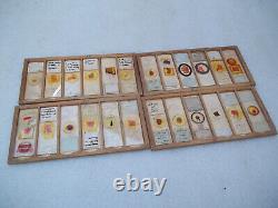 Antique Glass Microscope Slides