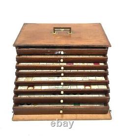 Antique Large Microscope Slide Set in Wooden Oak Collectors Box / Chest Drawers