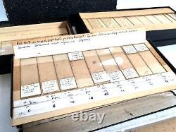 Antique Large Quantity of Glass Microscope Slides in Collectors Box / Chest