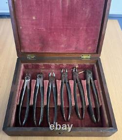 Antique Mather Manchester Dentist Tooth Extraction Kit