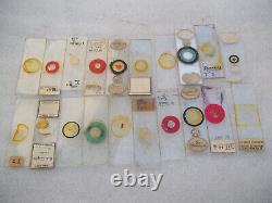 Antique Victorian Glass Microscope Slides