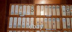 Antique/ Vintage Collection Of Scientific Microscope Slides 1920 To 1990