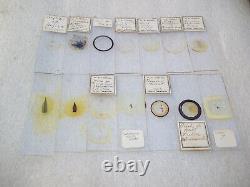 Antique & Vintage Glass Microscope Slides