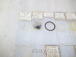 Antique & Vintage Glass Microscope Slides