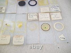 Antique & Vintage Glass Microscope Slides