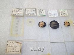 Antique & Vintage Glass Microscope Slides