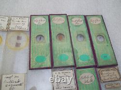 Antique & Vintage Glass Microscope Slides