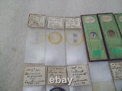 Antique & Vintage Glass Microscope Slides