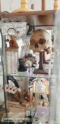 Antique real medicalHuman Skull! Very rare! Modèle crâne humain médical réel