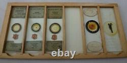 Box Of 34 Antique Microscope Slides In 6 Trays