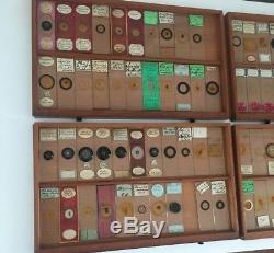 Cased collection of 430 Antique Microscope Slides. Great Collection