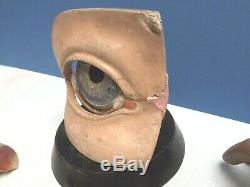 EYE Model Eye C1870 Plaster & Papier Mache Eye Hand Painted Rare