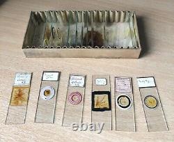 Microscope Slides Collection In Box