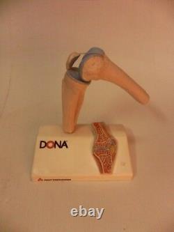 Model Anatomy Pharmaceutical rottapharm dona Vintage