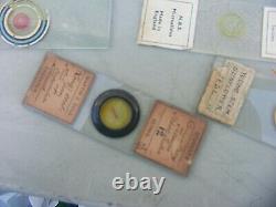Prepared Microscope Slides Antique / Vintage 2 Cases
