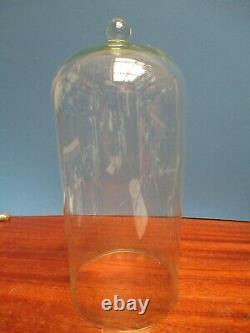 ^ Tall Display Dome With Knob Top, Vintage