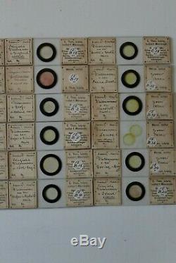 Very Fine Cased Set Of 36 Antique Marine Diatom Microscope Slides By Eduard Thum