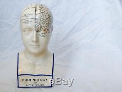Victorian Staffordshire Phrenology Head By Ln Fowler Ludgate Circus London