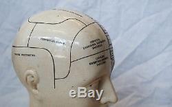 Victorian Staffordshire Phrenology Head By Ln Fowler Ludgate Circus London